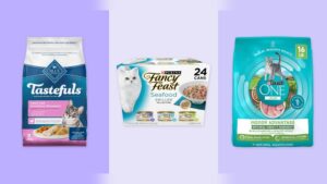Best Cat Food