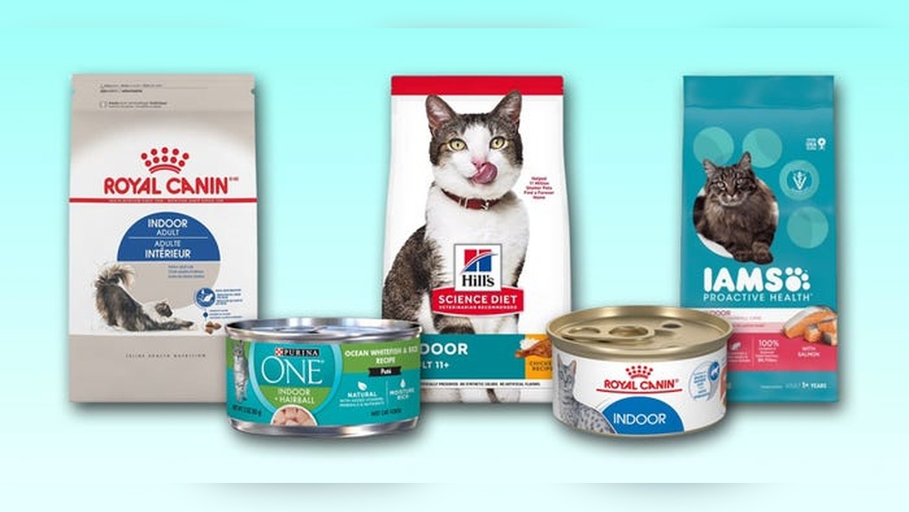 Best Cat Food for Indoor Cats