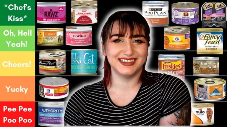 Best Wet Cat Food
