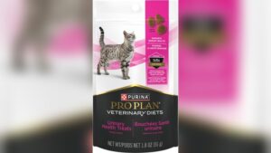 Healthy Cat Treats