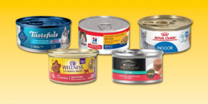 best canned food