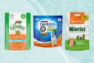best treats for cats