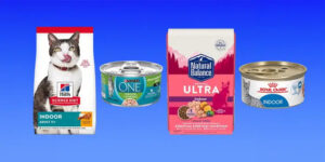 best cat food for indoor cats